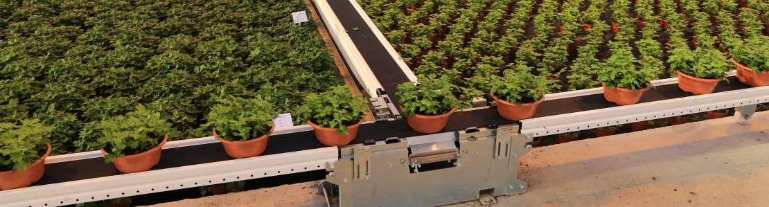 Used Transport equipment