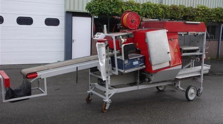 BTM-T124 Chrysanten (4)