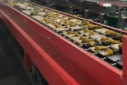 Aweta fruit grading machine