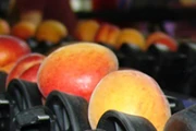 Compact carriers suitable for various type of fruit, such as stone fruit