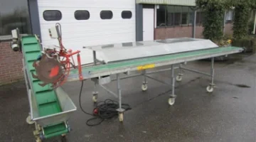 Letisztítja a cikóriavágót