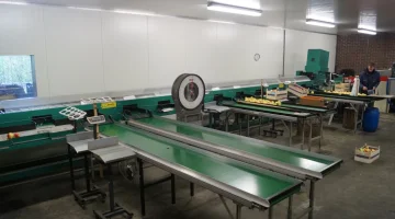 Greefa MSE2000 sorting line with Stas water bin unloader and sponge dryer