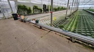 Javo Vaste transportband 86 meter x 20 cm