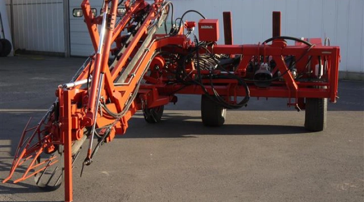 lauwers bomenrooier (5)