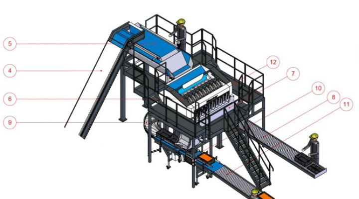 Manter M10 L weighing machine with infeed elevator, buffer box filler and roller conveyors for boxes